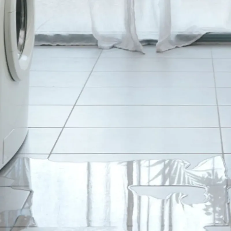 Appliance Leak Cleanup in Holly Hill, SC