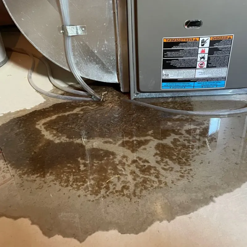Pipe Burst and Leak Restoration in Holly Hill, SC
