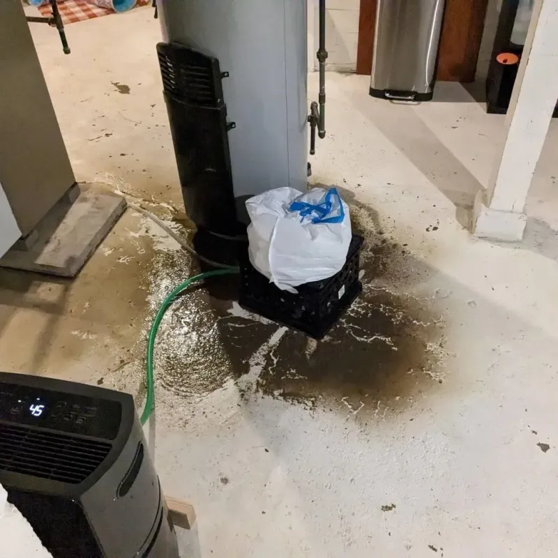 Sewage Backup Cleanup Service in Holly Hill, SC